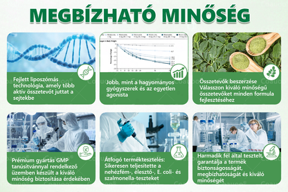 hivatalos üzlet | 𝐂𝐨𝐚𝐮𝐨𝐨® 𝗠𝗼𝗿𝗶𝗻𝗴𝗮 × 𝗕𝗲𝗿𝗯𝗲𝗿𝗶𝗻𝗲 𝟭𝟬 az 1-ben Karcsú és Egészséges Nano Mikrotűs Tapasz✨✨